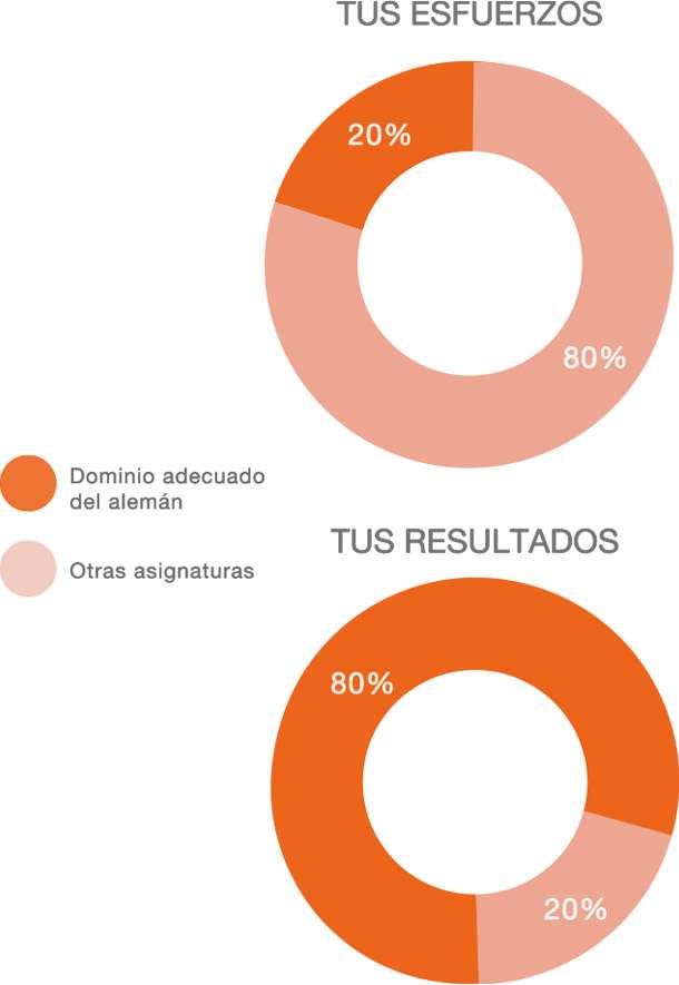 assade, German literature tutoring, nachhaltiges Kinder Ausland, schulische Leistungen ,verbessern, Meta-4P Methode, Lernstrategien Kinder,